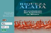 RIQUEZA ALADA - PericosMexico.org · 2020. 11. 16. · 3 Riqueza Alada 1. Índice 2. Resumen 3. Introducción 4. Aviturismo 2019 Estudios de caso Sitios de congregación y observación