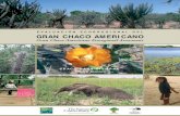 EVALUACIÓN ECORREGIONAL DEL GRAN CHACO AMERICANO · 2012. 1. 13. · Identificar una red de áreas significativas para la conservación de la biodiversidad y el desarrollo sustentable