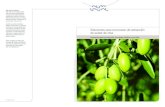 Soluciones para el proceso de extracción de aceite de oliva...4 Proceso de extracción de aceite de oliva Proceso de extracción de aceite de oliva 5 Pioneros en conseguir una almazara