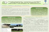 Presentación de PowerPointDos experimentos con vacas Holando de parición de otoño (Exp.1) y primavera (Exp.2). Diseño en bloques completos a azar con dos tratamientos; T1: DTM