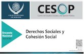 Derechos Sociales y Cohesión Social - Cámara de Diputados · 2018. 1. 22. · Derechos Sociales y Cohesión Social . INDICE Metodología Principales hallazgos Derechos Sociales