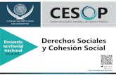 Encuesta Derechos Sociales territorial y Cohesión Social nacional · 2018. 7. 10. · Derechos Sociales y Cohesión Social 2018 • Asimismo, el 66.1% está de acuerdo con que los