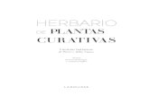 HERBARIO - Larousse · 2020. 12. 29. · ste Herbario de plantas curativas tiene por voca - ción presentar de un modo ameno y detallado —pero sin ningún afán de exhaustividad—