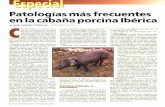 Ministerio de Agricultura,Pesca y Alimentación - Patologías más … · 2008. 2. 7. · de producción de una hembra de raza charolesa, adquirida con 220 kg. de peso vivo y sacriñcada