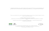 Repositorio | FAUBA | Moreno Gonzalez Yaliska Milena “Suplementacion con sales ...ri.agro.uba.ar/files/download/tesis/maestria/2019moreno... · 2019. 7. 1. · de sales cálcicas.