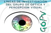 LÍNEAS DE INVESTIGACIÓN DEL GRUPO DE ÓPTICA Y … · 2019. 6. 12. · Las lentes esclerales son útiles para el manejo del ojo seco Las lentes de contacto actuals no están funcionando