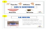 WordPress.com · 2020. 9. 15. · Vista párpados on pestañas cejas pupila El sentido de la vista nos permite reconocer las formas, tamaños y colores de los objetos que nos rodean
