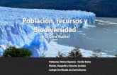 Población, recursos y Biodiversidadchacao.colegiosannicolas.cl/wp-content/uploads/2020/05/... · 2020. 5. 11. · Huanacos, el ave mas grande de Chile que es el Ñandú y una infinidad