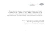 Temas de Filosofía Transicióncecytev.edu.mx/info/pyp/cf1/99/6_Temas-de-Filosofia_Feb...2 Elaboración del Programa de estudios de Temas de Filosofía (Implementación exclusiva para
