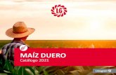 Maíz Duero 2021 · se recomienda una elevada densidad de siembra 100.000 planta/a. a Ecelente tolerancia a enermedades como elthosor o Fsar de mazorca. PRODU˜ IÓN EN TODO TIPO