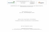 EMPRESA DE SERVICIOS PUBLICOS DE RESTREPO AGUAVIVA S.A E.S.P. INFORME …aguavivaesp.gov.co/wp-content/uploads/2021/01/INFORME... · 2021. 1. 11. · informe fue consultada en la