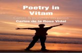 Carlos de la Rosa VidalCarlos... · Cartas & poemas en prosa Carlos de la Rosa Vidal Carlos de la Rosa Vidal: Escritor, Formador y Orador Presidente Fundador de la Cámara Internacional
