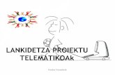 LANKIDETZA PROIEKTU TELEMATIKOAk · 2014. 11. 13. · Proiektu Telematikoak Proyectos Telemáticos Colaborativos El profesor es facilitador de experiencias de aprendizaje en Internet.