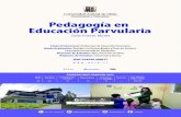 Pedagogía en Educación Parvularia · 2020. 9. 8. · Pedagogía en Educación Parvularia Sede Puerto Montt Esta información está sujeta a actualización. Datos soctubre de 2020.