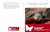 lacasadelespapallones.comlacasadelespapallones.com/dwn/pavoniadocuBX.pdf · 2014. 1. 3. · Pròleg Estudiar el cicle biològic de les papallones, la seva metamorfosi, i fotografiar-ne