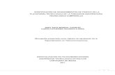 IDENTIFICACIÓN DE REQUERIMIENTOS DE TRÁFICO EN LA PLATAFORMA TECNOLOGICA DE …biblioteca.utb.edu.co/notas/tesis/0062162.pdf · 2020. 3. 5. · un ambiente virtual, y en algunos