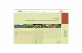 Monitoreo de Cultivos de Cocachs-peru.com/.../Boletinpasados/020608/Documentos/vrae.pdf · 2013. 1. 14. · VRAE Valle del río Apurímac - Ene Reconocimientos Las ... ONUDD, a través