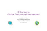 รศ พญ ศิริลั อน ันตกษณ ณัิริฐศ 24-6-2009.pdf · Chikungunya Virus Genome Non-structural proteins required for viral replication Structural