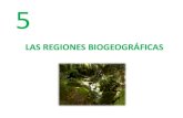 LAS REGIONES BIOGEOGRÁFICAS...2020/09/05  · ESQUEMA DE LA UNIDAD 1. FACTORES DE LA DIVERSIDAD Y REGIONES BIOGEOGRÁFICAS 1.1. Las regiones biogeográficas en España 2. FORMACIONES