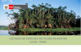 LISTADO DE ESPECIES DE FLORA SILVESTRE CITES - PERÚ...Fue una aproximación que agrupó en una lista las especies de flora nativas incluidas en la CITES; cabe decir que incluyó en