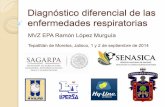 Diagnóstico diferencial de las enfermedades respiratorias · 2014. 9. 3. · disminución de la postura. ... enfermedad viral contagiosa que afecta a la gallina doméstica y algunas
