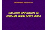 EVOLUCION OPERACIONAL DE COMPAÑÍA MINERA ......2016/03/05  · productos alternativos, no necesariamente dependientes del precio del cobre. Es así como en el año 1999, se construye