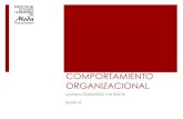 COMPORTAMIENTO ORGANIZACIONAL · 2016. 8. 7. · comportamiento organizacional profesor edmundo valencia sesión 8 . antropometrÍa y carametrÍa . antropometrÍa