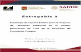 Entregable 3 · 2020. 7. 2. · Entregable 3 Estrategia de Soporte Técnico para el Proyecto de Desarrollo Territorial en la cadena productiva de Café en el Municipio de Copainalá,
