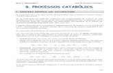 1. ESQUEMA GENERAL DEL CATABOLISME...2012/10/01  · El catabolisme és semblant en els organismes autòtrofs i en els heteròtrofs. Les reaccions del catabolisme són reaccions d’oxidació