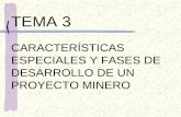 TEMA 3saber.ucv.ve/bitstream/123456789/9454/3/TEMA 3... · 2015. 5. 25. · EVALUACIÓN Y GERENCIA DE PROYECTOS MINEROS TEMA 3 CARACTERÍSTICAS ESPECIALES DE UN PROYECTO MINERO •Investigación