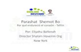 Parashat Shemot Bo - Shalom Haverim Semanal SHEMOT … · durante las oraciones matinales, excepto los sábados y días festivos de la Toráh, los israelitas usan generalmente a partir