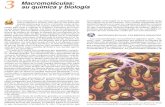 Macromoléculas: su qumica y biologa · 2017. 6. 15. · Macromoléculas: su qumica y biologa. Una telaraña es una estructura sorprendente. No sólo es hermoso mirarla, sino que