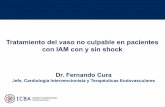 Tratamiento del vaso no culpable en pacientes con IAM con ...caci.org.ar/assets/misc/docs/iv-simposio-tct-caci-sac/Dr-CURA-Fernando.pdfLa evaluación de la severidad y necesidad de