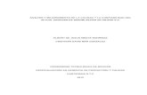 363n y Calidad.docx)biblioteca.utb.edu.co/notas/tesis/0062831.pdf · 2012. 4. 24. · 1 analisis y mejoramiento de la calidad y la confiabilidad del actual proceso de sandblasting