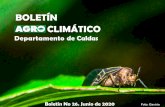 Boletin agroclimatico juniocorpocaldas.gov.co/publicaciones/1572/2020/06-08/06-2020... · 2021. 1. 4. · Aguacate •Aproveche la temporada de lluvia de comienzos de mes, para aplicación