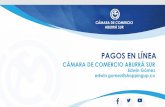 PAGOS EN LÍNEA · 2020. 11. 24. · VENTAJAS DE LOS PAGOS EN LÍNEA - Pagos desde cualquier lado y en cualquier momento del dia - Mejora la conversión ( aumento de ventas ) - Reduce