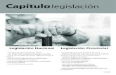 Parte 06 - capítulo LEGISLACIÓNlaluchaenlacalle.org/archivos/Jubilados/Parte 06... · 2019. 11. 11. · Legislación Nacional - Constitución Nacional (Artículo 14 bis) - Ley 23
