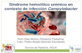 Síndrome hemolítico urémico en contexto de infección ......Síndrome hemolítico urémico en contexto de infección Campylobacter Ruth Olea Muñoz (Rotatorio Pediatría) Tutor: