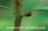Insectos Bené · 2020. 12. 3. · El contenido de esta guía ilustrada representa una primera aproximación al conocimiento de los insectos depredadores y parasitoides de la región,