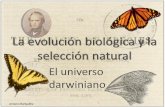 La selección naturalgenetica.uab.cat/base/continguts/documents/documents.asp?... · 2020. 5. 23. · El relojero ciego William Paley 1802: Teología natural . Primera definición