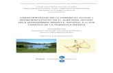 CARACTERITZACIÓ DE LA COMUNITAT ACTUAL I … · Comunitat actual i subfòssil recent dels quironòmids a llacs càrstics de la Península Ibèrica ABSTRACT The aim of this study