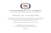 UNIVERSIDAD SAN ANDRESrepositorio.usan.edu.pe/bitstream/usan/52/1/01_TI_USAN.pdf · 2018. 5. 22. · Justicia", una de las situaciones problemáticas es la "Calidad de las Sentencias