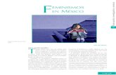 Feminismos en méxico - Universidad Autónoma Metropolitana · 2017. 6. 22. · Feminismos en Méico 1P 24 lidades, que es lo mas difícil de lograr porque hay que enfrentar muchos