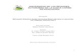 UNIVERSIDAD DE LAS REGIONES AUTONOMAS DE LA ...repositorio.uraccan.edu.ni/730/1/Monografía medicina de...A nivel local, de las Regiones Autónomas de la Costa Caribe Nicaragüense