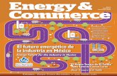 tiz - Energy & Commerce · los mecanismos por las cuales se pueden ob - tener capitales, como pudieran ser recursos financieros asignados por el Gobierno, alianzas entre empresas