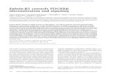 Ephrin-B2 controls PDGFRb internalization and signalinggenesdev.cshlp.org/content/27/23/2576.full.pdf · Ephrin-B2 controls PDGFRb internalization and signaling Akiko Nakayama,1,2