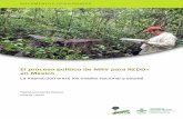El proceso político de MRV para REDD+ en Méxicoy mecanismos como el Grupo de Trabajo de Gobernadores para el Clima y los Bosques (GCF, por sus siglas en inglés), representan oportunidades