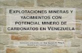 EXPLOTACIONES MINERAS Y CON POTENCIAL MINERO ...saber.ucv.ve/bitstream/123456789/10453/1/mineria en...Contenido • Yacimientos carbonaticos en Venezuela. Ubicación y características.