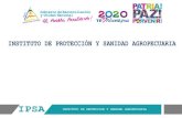 INSTITUTO DE PROTECCIÓN Y SANIDAD AGROPECUARIA•Programa Bovino, en 11 municipios de los departamentos de Chontales, RACCS y Rio San Juan, se está fortaleciendo y mejorando la trazabilidad