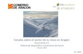 4.1. Sintesis de diagnostico y escenarios de futuro def (24-11 …aragonparticipa.aragon.es/sites/default/files/estudio...1.1 Caracterización de la oferta Oferta de esquí alpino: